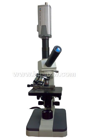 һ��Ѫ����ǣ�һ��Ѫ�����ǣ��������������������Ʒ����