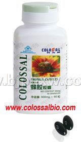 ��ʳ���� �佺������������Ʒ����