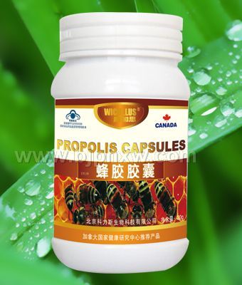 ȫ��������ߵķ佺��Ʒ�����佺���ҡ�����������Ʒ����