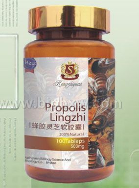 蜂胶灵芝软胶囊 500mgXl00粒