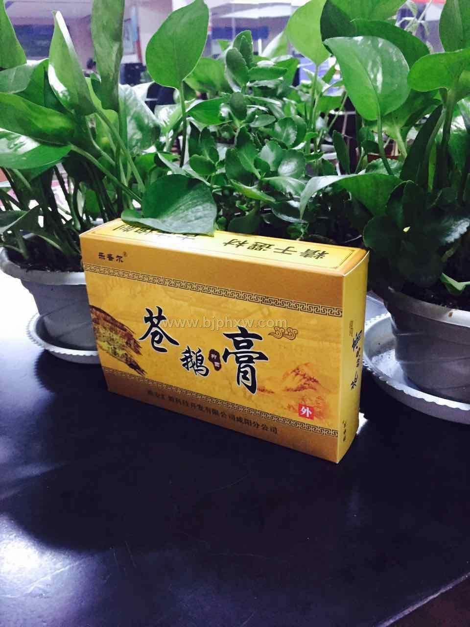 苍鹅鼻炎膏 祖传秘方 一次见效