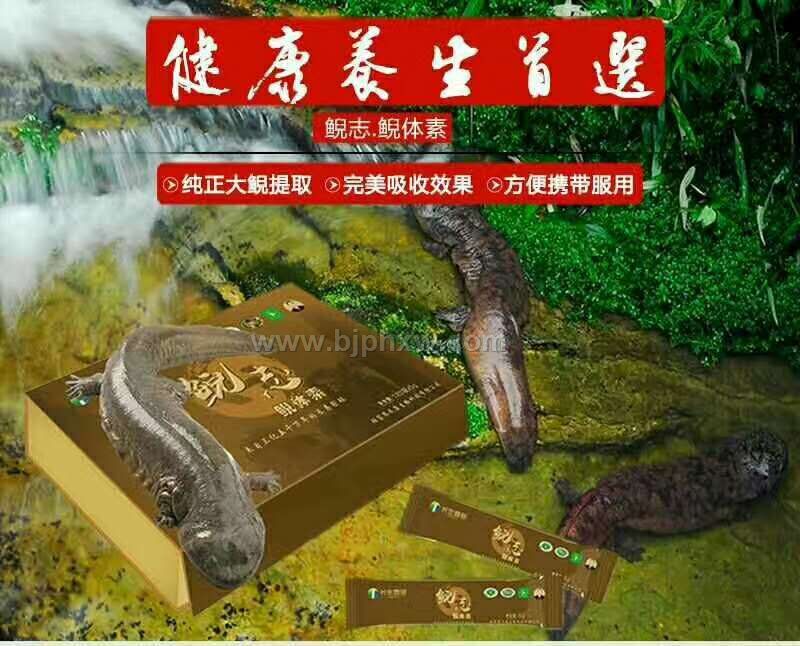 鲵志.鲵体素