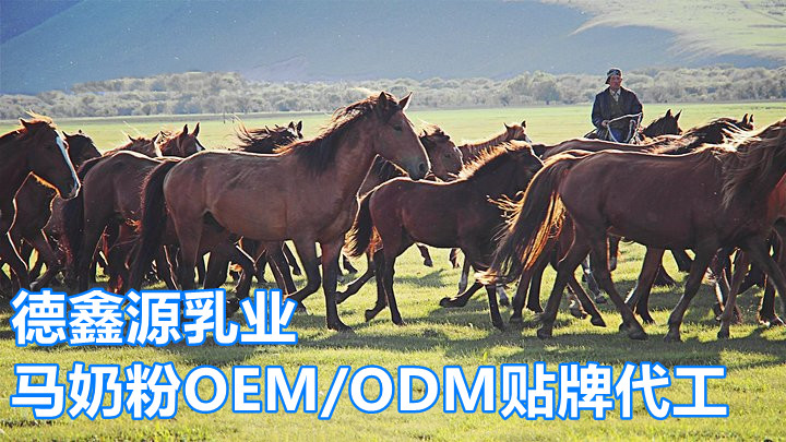 马奶ODM贴牌厂家-马奶ODM贴牌价格