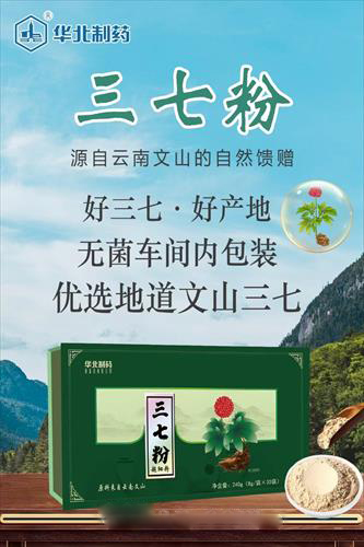 华北制药三七粉