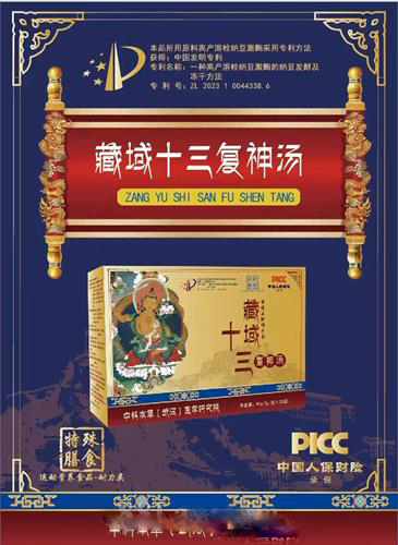 藏域十三复神汤