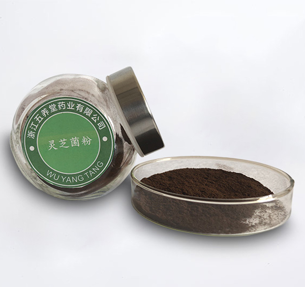 灵芝菌丝体粉（浙江五养堂药业有限公司）