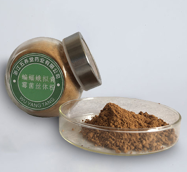 蝙蝠蛾拟青霉菌丝体粉（发酵虫草菌丝体粉）（浙江五养堂药业有限公司）