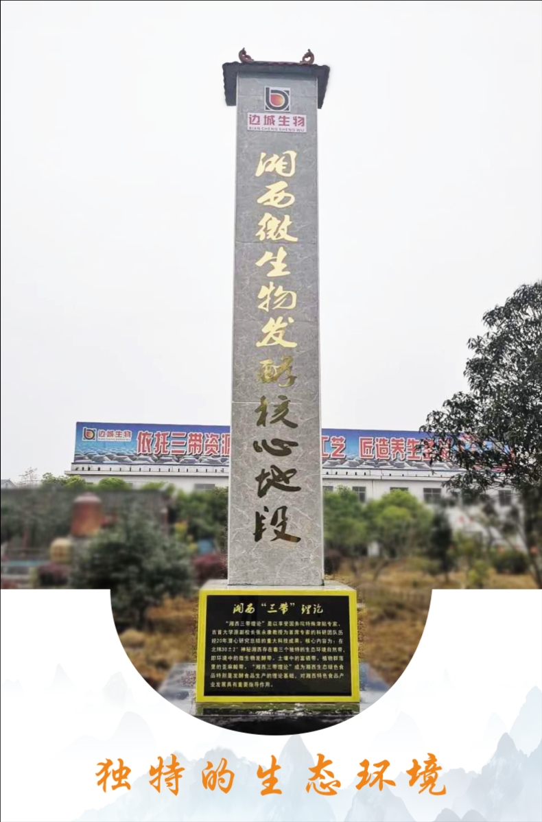 会销门店收单创收品神秘湘西醋自带流量防火墙