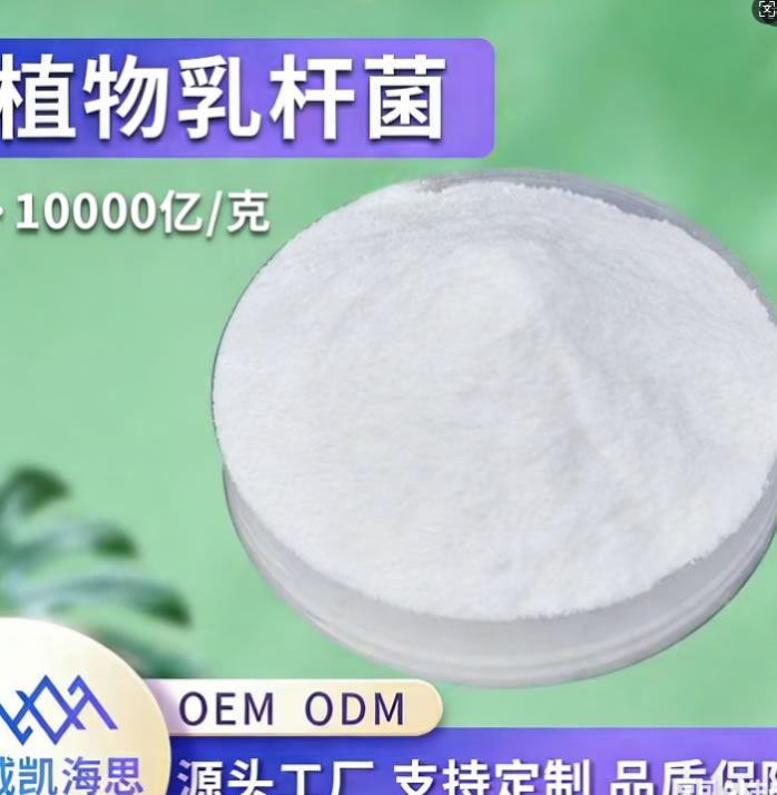 ֲ����˾���